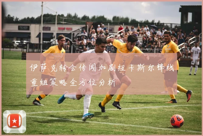 伊萨克转会传闻加剧纽卡斯尔锋线重组策略全方位分析