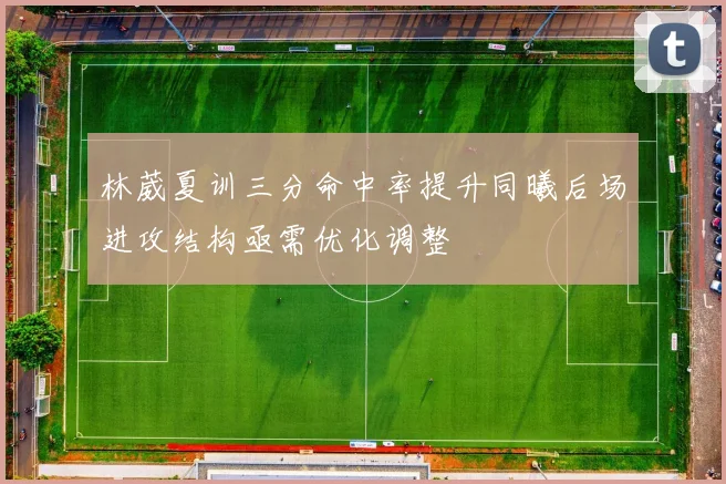 林葳夏训三分命中率提升同曦后场进攻结构亟需优化调整